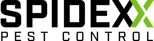 Spidexx Pest Control Logo
